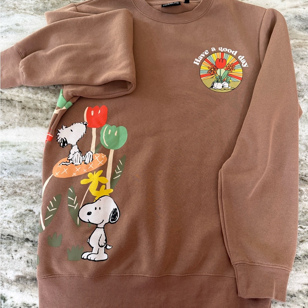 Peanuts Brown Crewneck Sweater with Snoopy Graphic